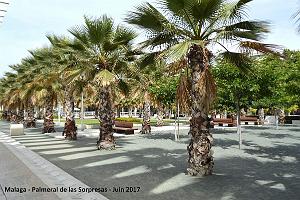 121- Malaga Palmeral Sorpresas
